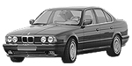 BMW E34 P2203 Fault Code